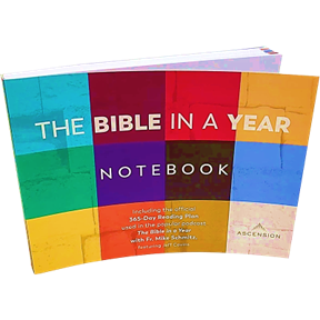 The Bible in a Year Notebook, 1st Ed.